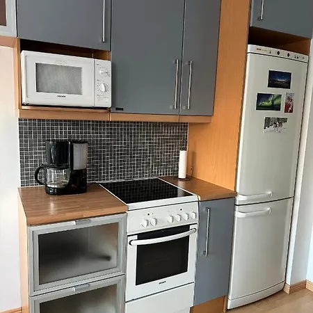 Sofia City Apartment *