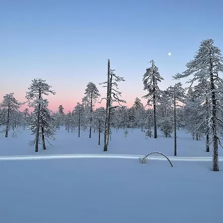 Sofia * ロヴァニエミ